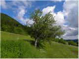 Planina (Dolnja Planina) - Sveta Marija on Planinska gora